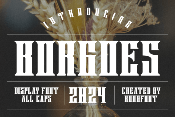 Borgoes Font for Editorial Design Projects